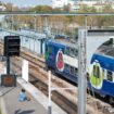 Des enfants tombent sur une mine de la Grande Guerre dans la Marne